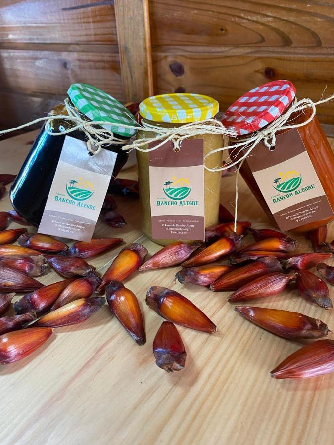Cabanas Fazenda Rancho Alegre Urubici Mundo Novo  Εξωτερικό φωτογραφία